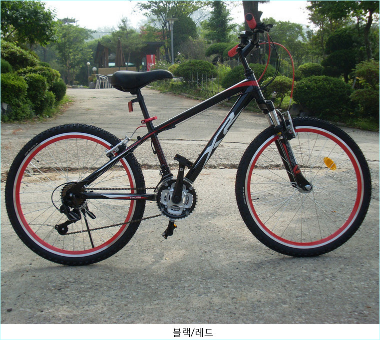 stacato xr 자전거