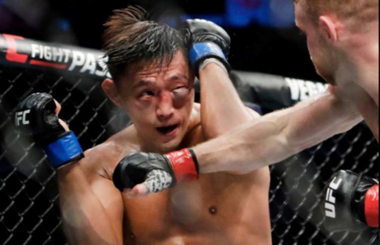 마에스트로 김동현(마동현) UFC 방출 후 은퇴 마에스트로 김동현(마동현) UFC 방출 후 은퇴