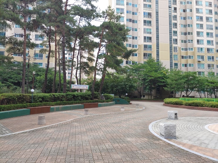  규제지역 내 주택 담보대출 시 전입, 처분 요건 강화(617)