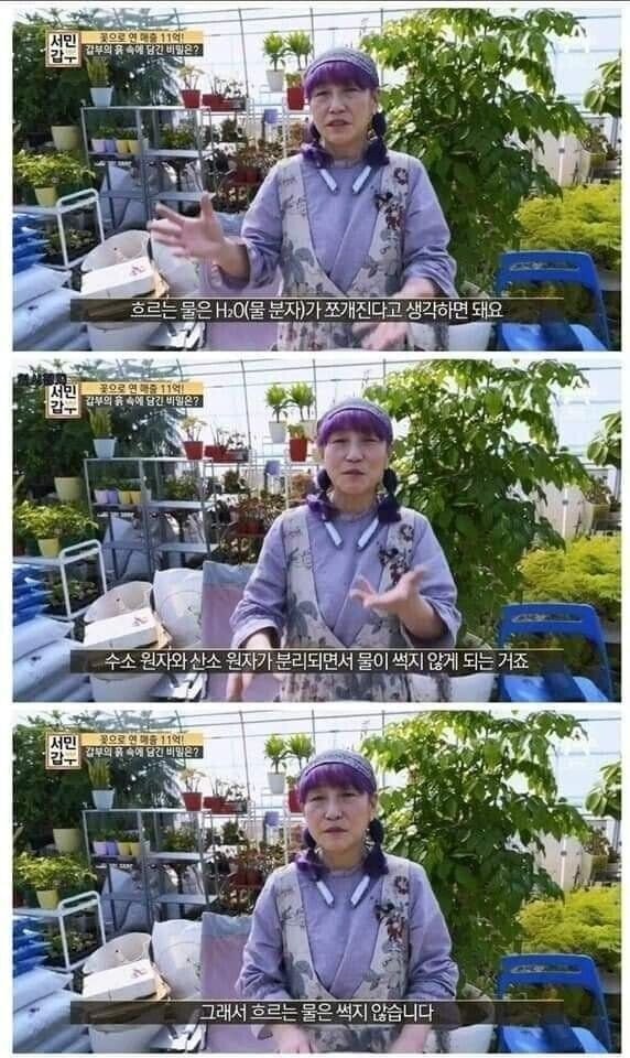  흐르는물이 썩지 않는이유