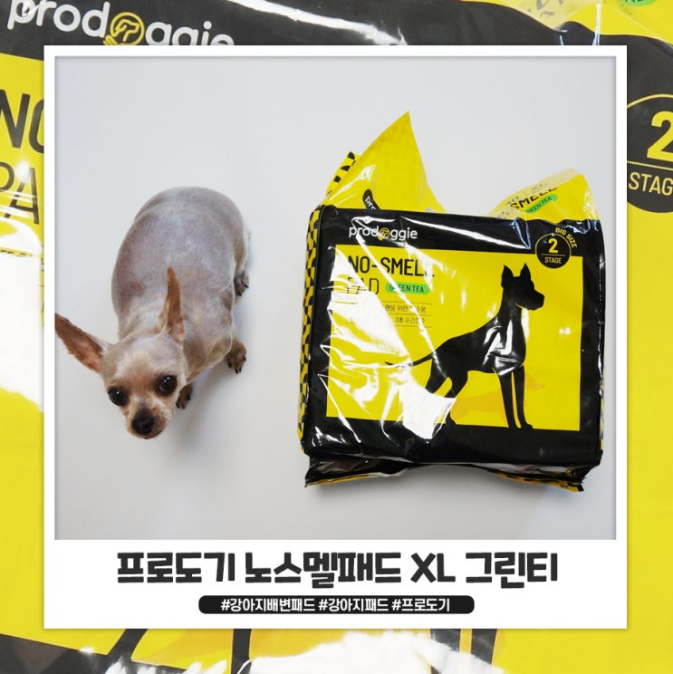 프로도기 강아지패드 여름엔 3초흡수가 필요해 프로도기 강아지패드 여름엔 3초흡수가 필요해