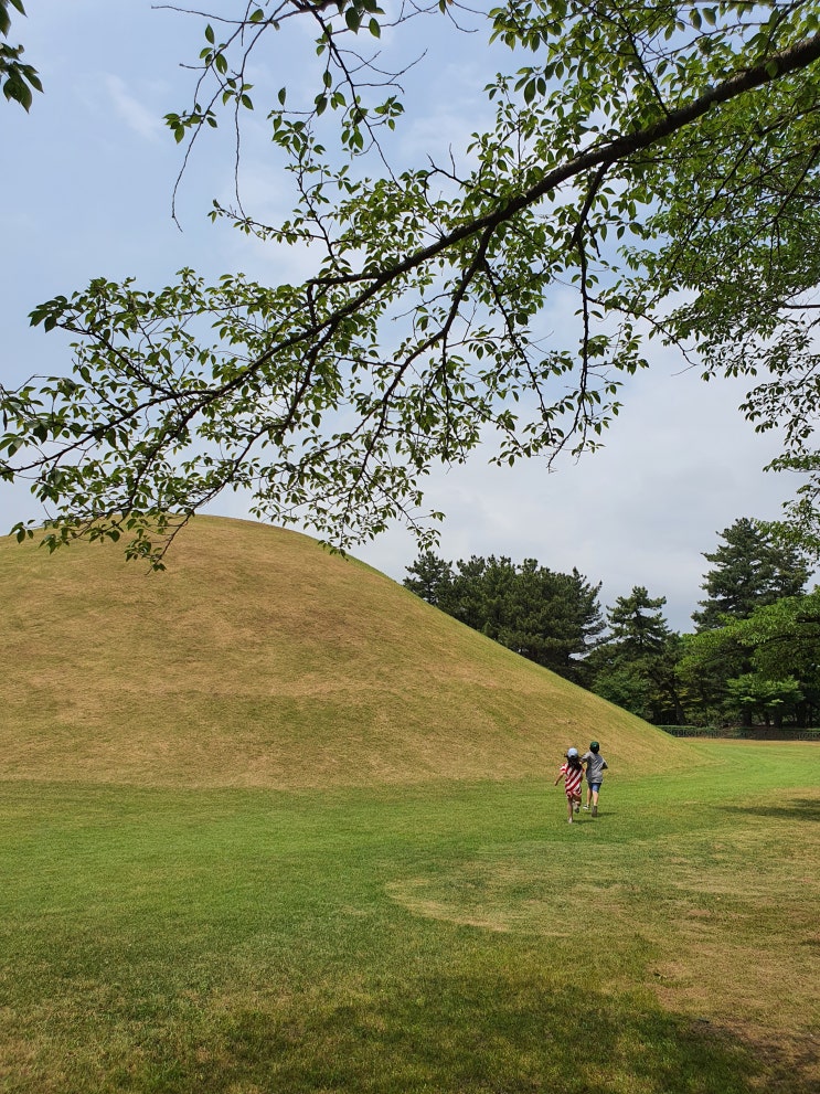  경주 대릉원 [입장료 할인중] 그리고, 요즘의 천마총과 미추왕릉, 황남대총