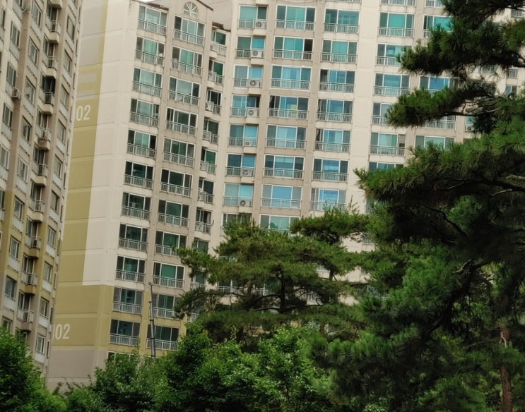  갭 투자, [617부동산 대책 ]