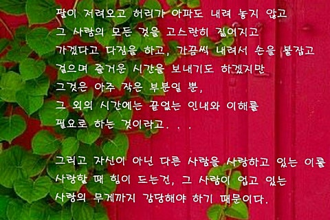주식회사담쟁이 이미지