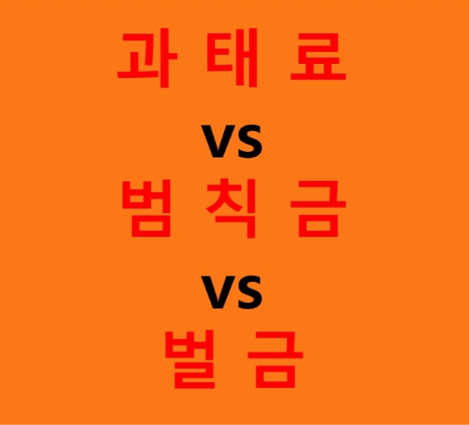  과태료 vs 범칙금 vs 벌금