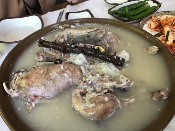  어른들 모시고 또 오고싶은 판교 백숙맛집 운중본가 장수촌