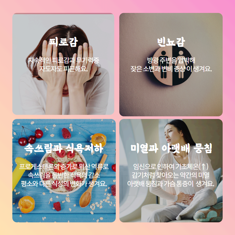 (임신/출생기록) 임신초기/경험한 초기증상(4-7주) 몸상태 미열 두통 공복식