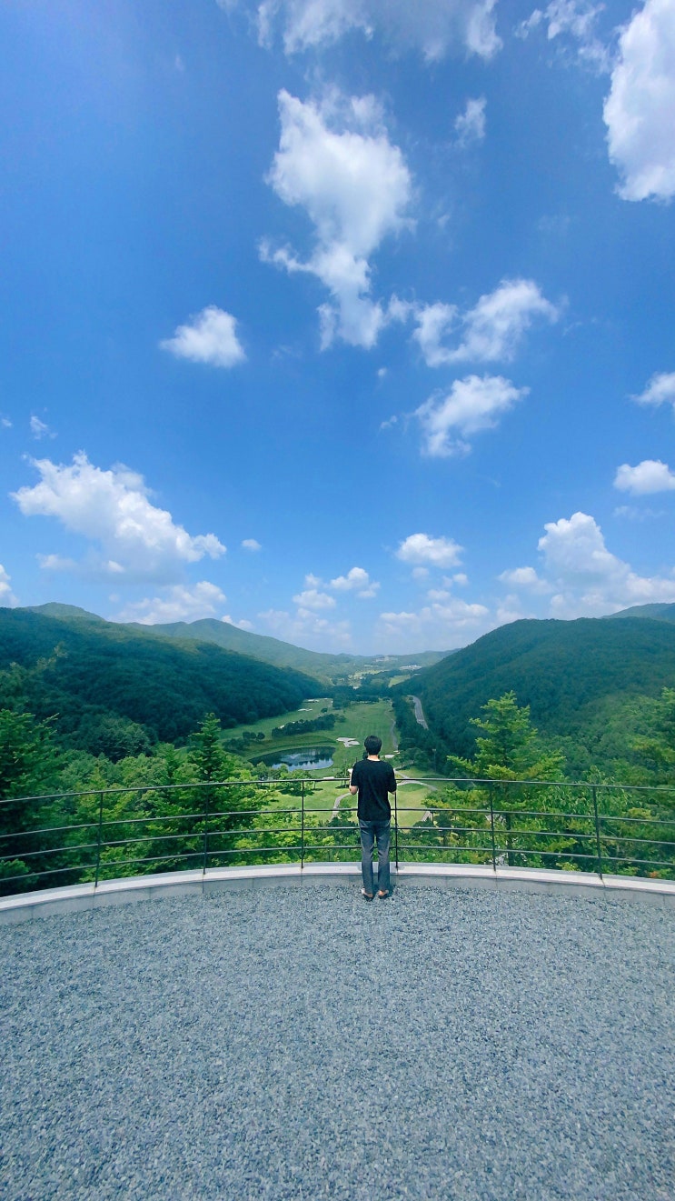  [뮤지엄산] 강원도 원주 여행, 자연 속 미술관 feat.제임스터넬관