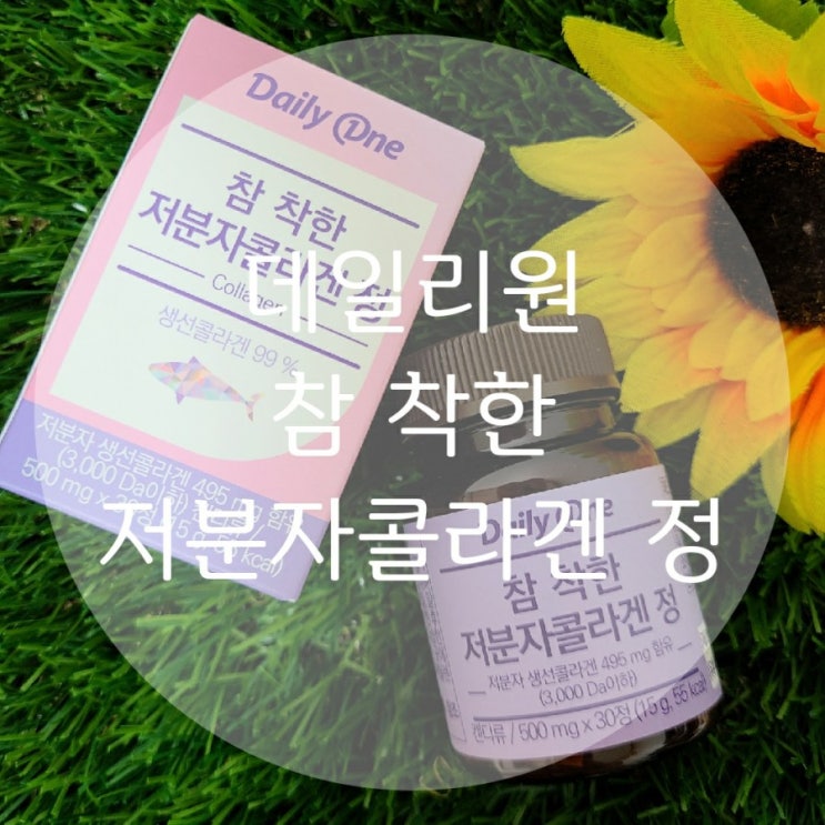  저분자생선콜라겐 데일리원 참 착한 저분자 콜라겐 정