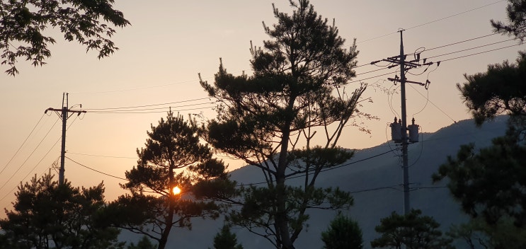  새로운 도전