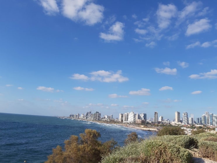 이스라엘의 실질적 수도- 텔아비브 풍경