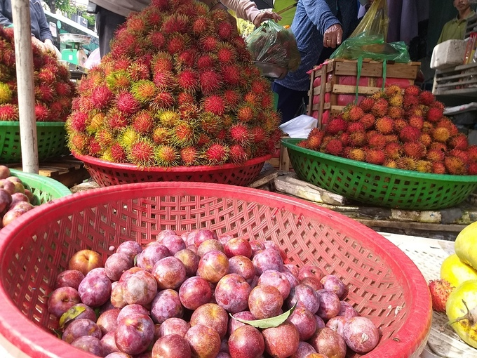 단오, 과일값 급등-Trái cây tăng giá mạnh ngày Tết Đoan Ngọ
