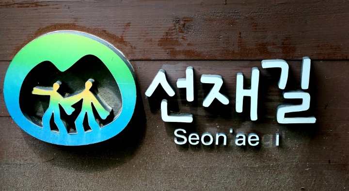  오대산 월정사~상원사 잇는 깨달음의 길(선재길)