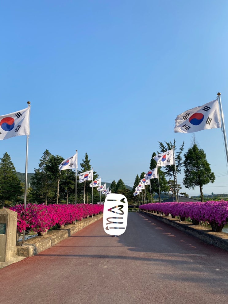  주말 충청도 예산 여행و٩(๑ᴗ)۶-2 한적하게 산책하기 좋은 윤봉길의사 생가 / 분위기 좋은  빵집 유양창고