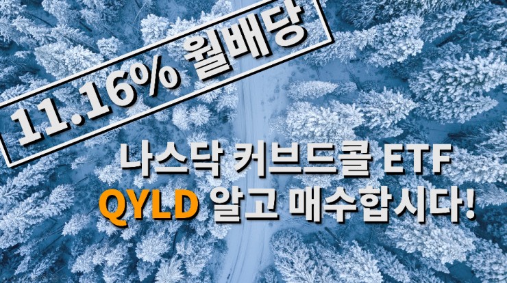  미국 나스닥 100 커버드콜 ETF (QYLD) 제대로 알고 투자 하자!!