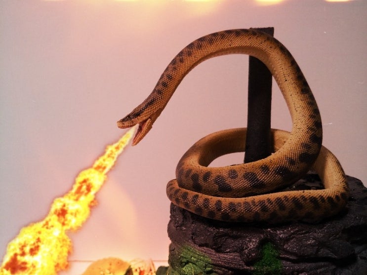 『REBOR』1:35 'Titanoboa cerrejonensis' 『Monty』 Premium Edition (티타노보아 몬티)