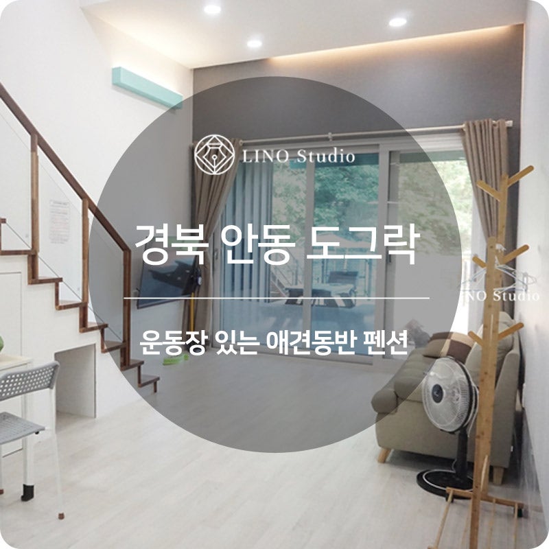 사진 10