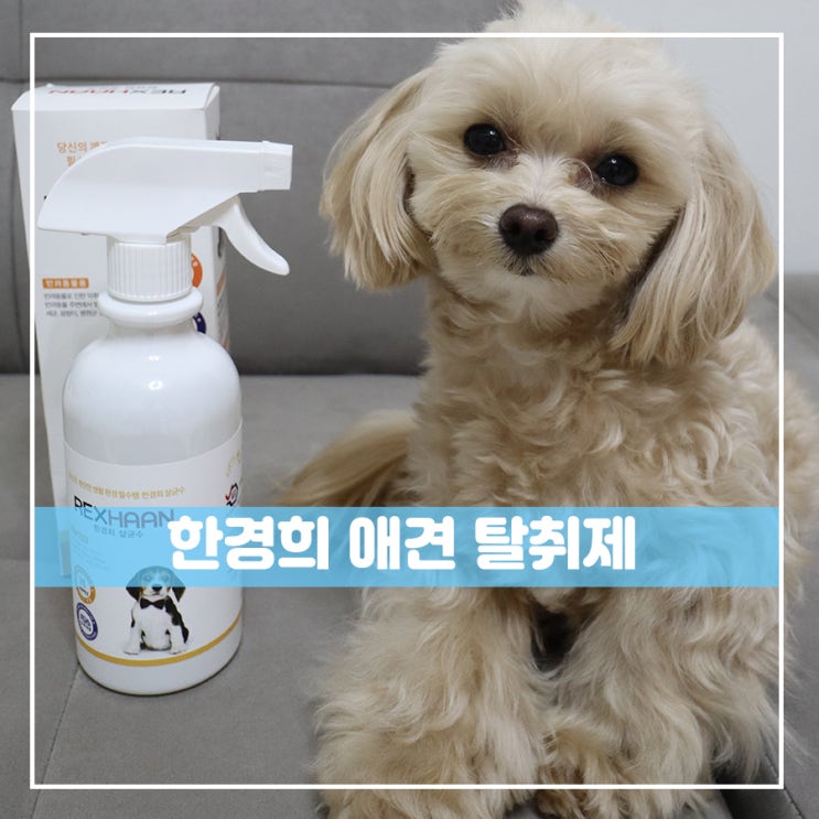  강아지탈취제 우리아이 지키자