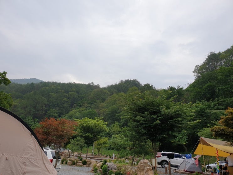 자연속 가족캠핑/영월 소풍캠핑장 1일차
