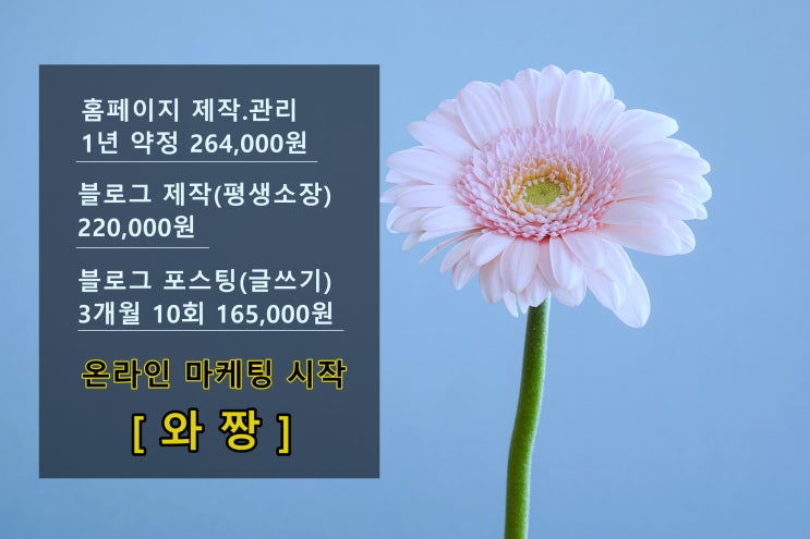  온라인 마케팅 시작은 [와짱] 홈페이지 블로그 제작.관리.포스팅