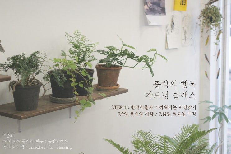  가드닝 클래스_이태원 경리단길_뜻밖의 행복