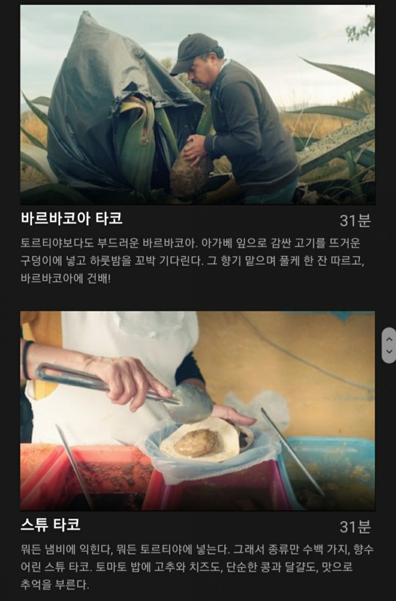 삼성동 따께리아 비야게레로. 정통 멕시코 카르니타스 타코. : 네이버 블로그, image size:800x1215