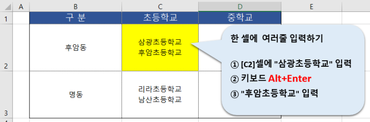  [엑셀]한 셀에 여러줄 입력하기(Alt+Enter)