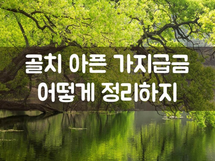 골치 아픈 가지급금, 어떻게 정리하지?