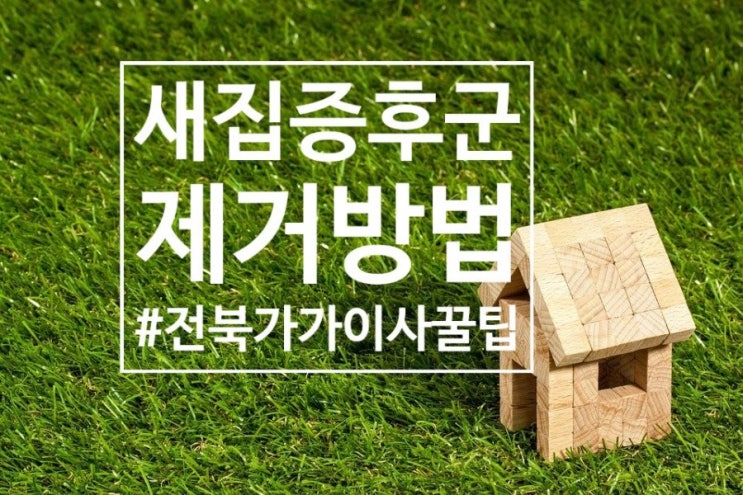  이사 후 새집증후군과 제거방법에 대해 알아보자