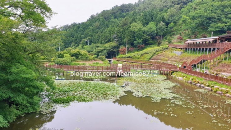  숲속 힐링 '진해드림파크' '목재문화체험장'