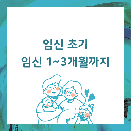  초기임신증상, 임신1~3개월까지의 변화