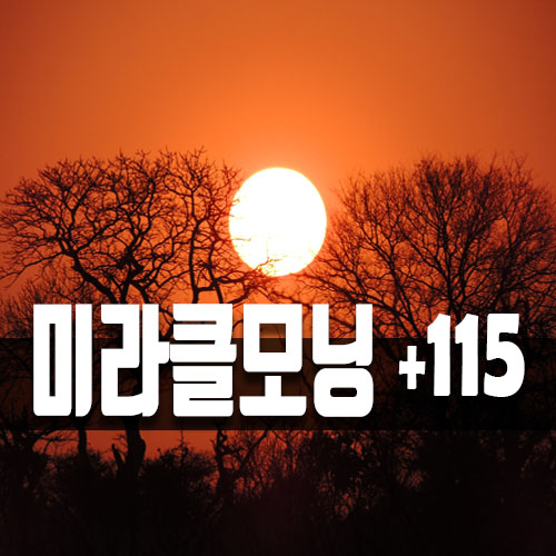  나만의 시간 활용법 115일차