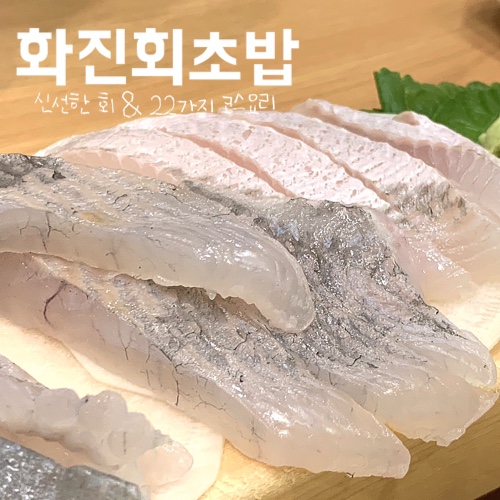 대구 수목원 맛집/대곡역 맛집 싱싱한 횟감의 ‘화진 회 초밥’ 재방문후기