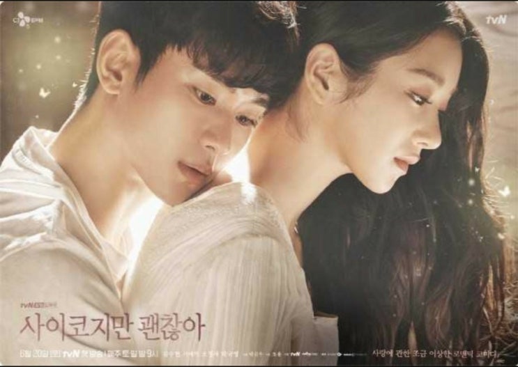 드라마 추천<사이코지만 괜찮아>(스포X) 드라마 추천<사이코지만 괜찮아>(스포X)