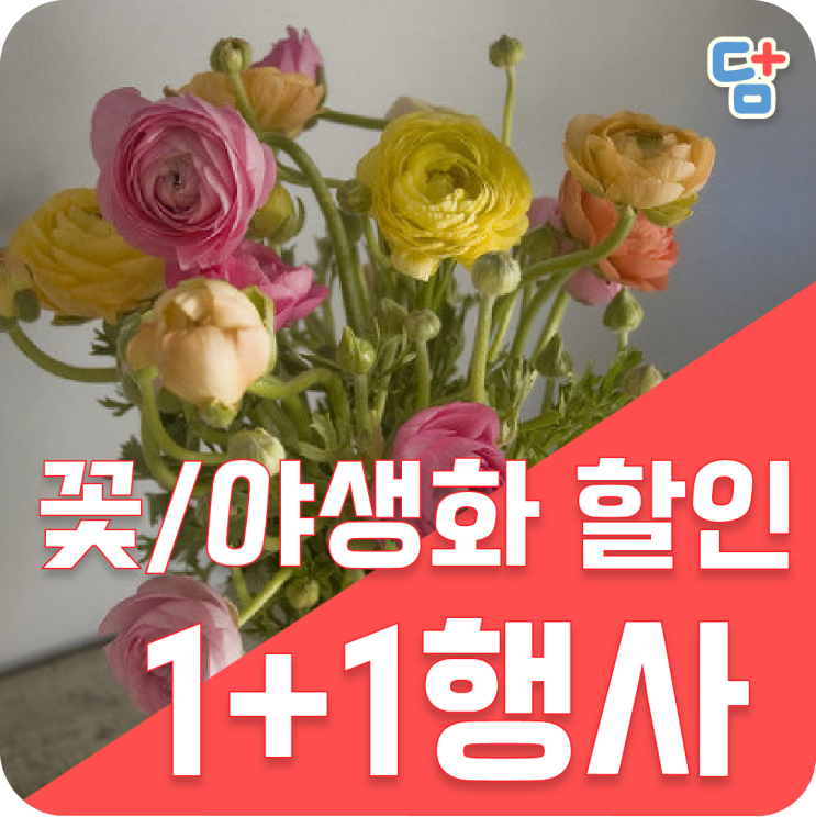 플라워버킷챌린지/화훼농가살리기 챌린지 꽃 1+1 꽃 할인정보