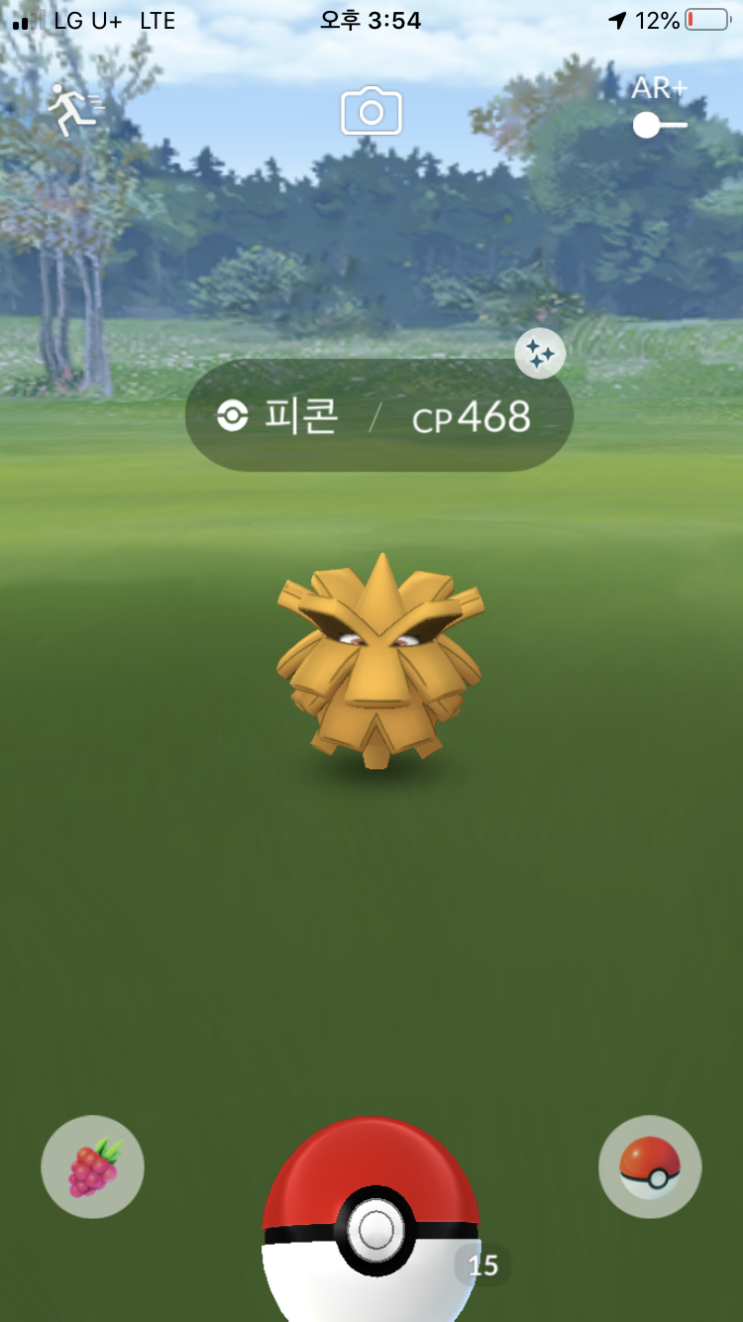  피콘 이로치