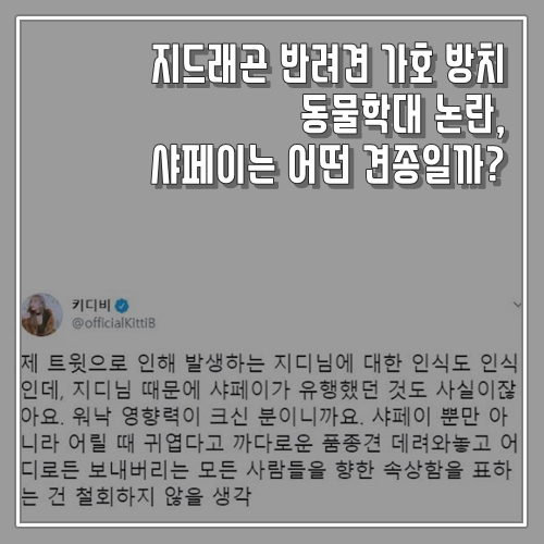  지드래곤 반려견 가호 방치 동물학대 논란, 샤페이는 어떤 견종일까?
