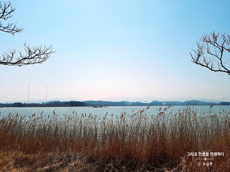  <그 인연, 그리고 인생을 연재하다 161> 보통날