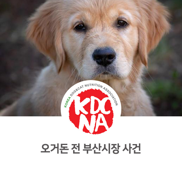 [반려동물 뉴스] 오거돈 전 부산시장, 반려동물 유기_555