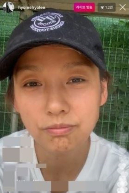 이효리, 린다G→소탈 제주댁으로 컴백 "'민박3'? 집 공개 후 힘들었다"(종합) 이효리, 린다G→소탈 제주댁으로 컴백 "'민박3'? 집 공개 후 힘들었다"(종합)