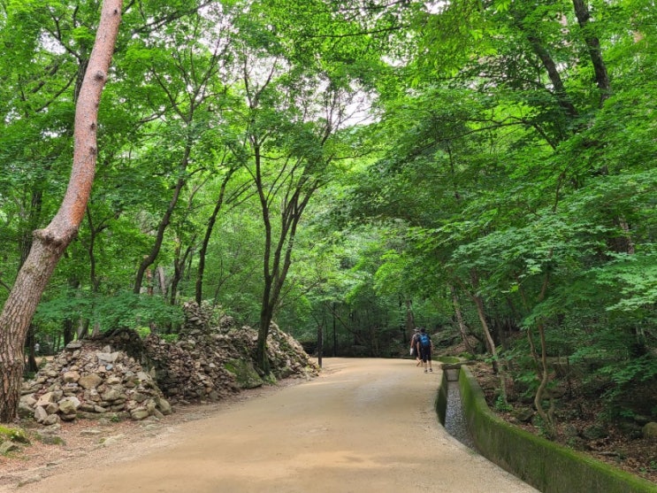  문경새재 1,2,3관문 트레킹( 흙길 맨발걷기)