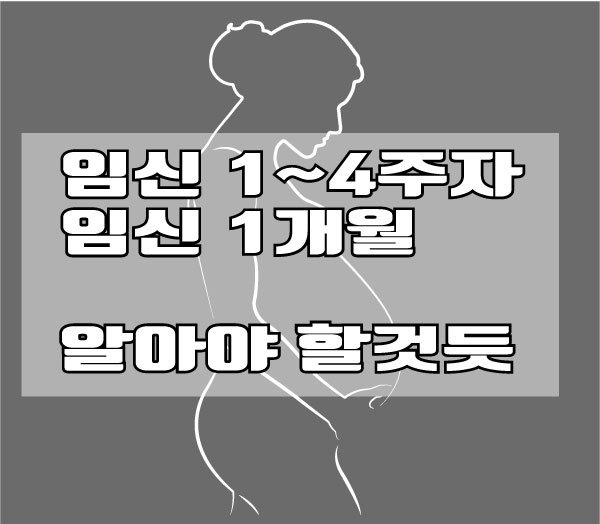  임신 4주차 해야할것들과 알아야 할것들