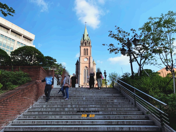 명동성당 구경! 한국 천주교의 본산 명동성당을 둘러보며 산책하기