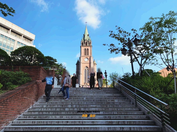 명동성당 구경! 한국 천주교의 본산 명동성당을 둘러보며 산책하기