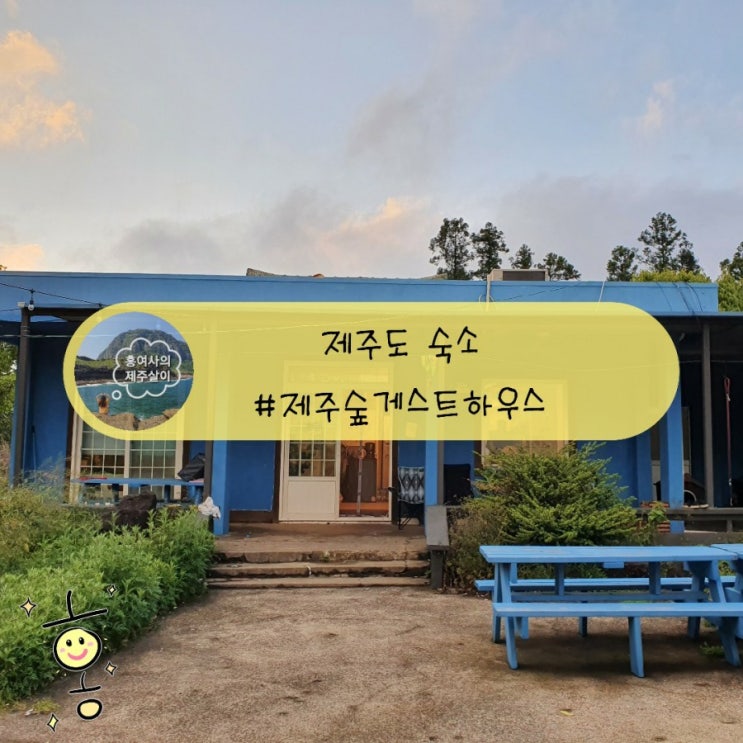 「제주도, 서귀포」 제주 남원게하추천 따뜻함이 넘치는 제주숲 게스트하우스 「제주도, 서귀포」 제주 남원게하추천 따뜻함이 넘치는 제주숲 게스트하우스