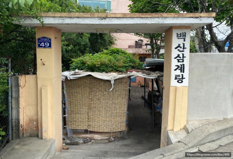  [청주 사직동] 백산삼계탕 -무더운날 특별한 들깨삼계탕과의 만남!