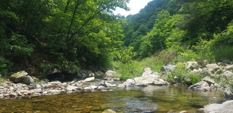  프롬벳사료/푸들사료/맘메이크 미숫가루/파지티브호텔 효소폼클렌징 / 토너패드 /파주임진각/홍천계곡/파주아울렛