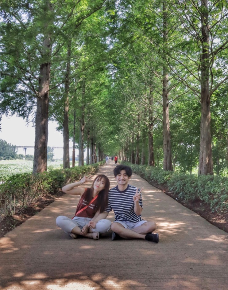  공주 여행영상(공산성/풍류다방/메타세콰이어길/미르섬)