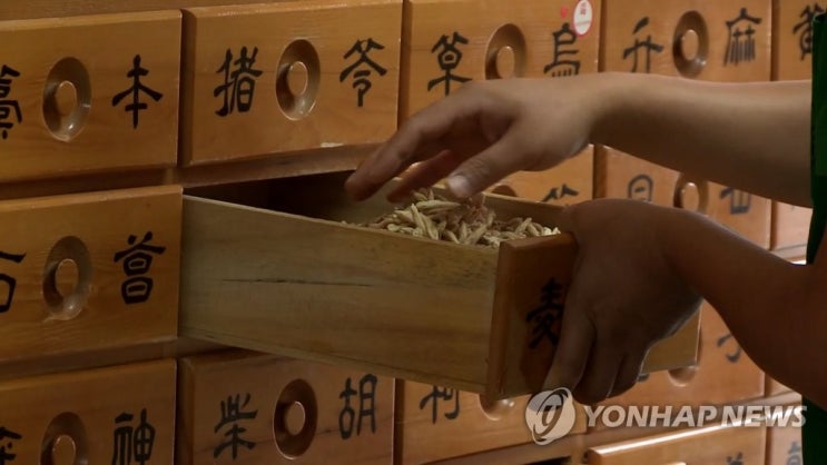 의협 "한약 건강보험 적용 결사반대" 의협 "한약 건강보험 적용 결사반대"