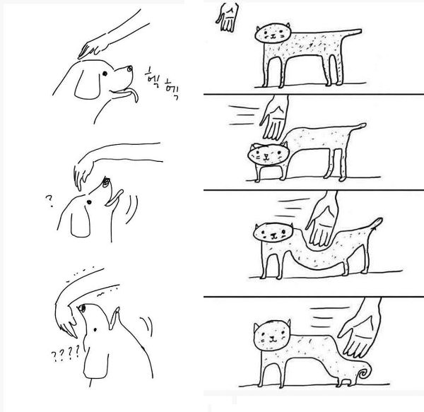  개와 고양이차이
